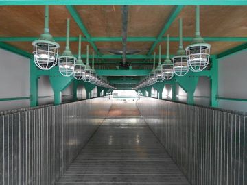 PLC Kontrollü Esnek Yatak Şişme Üretim Hattı, 50Kg / m³